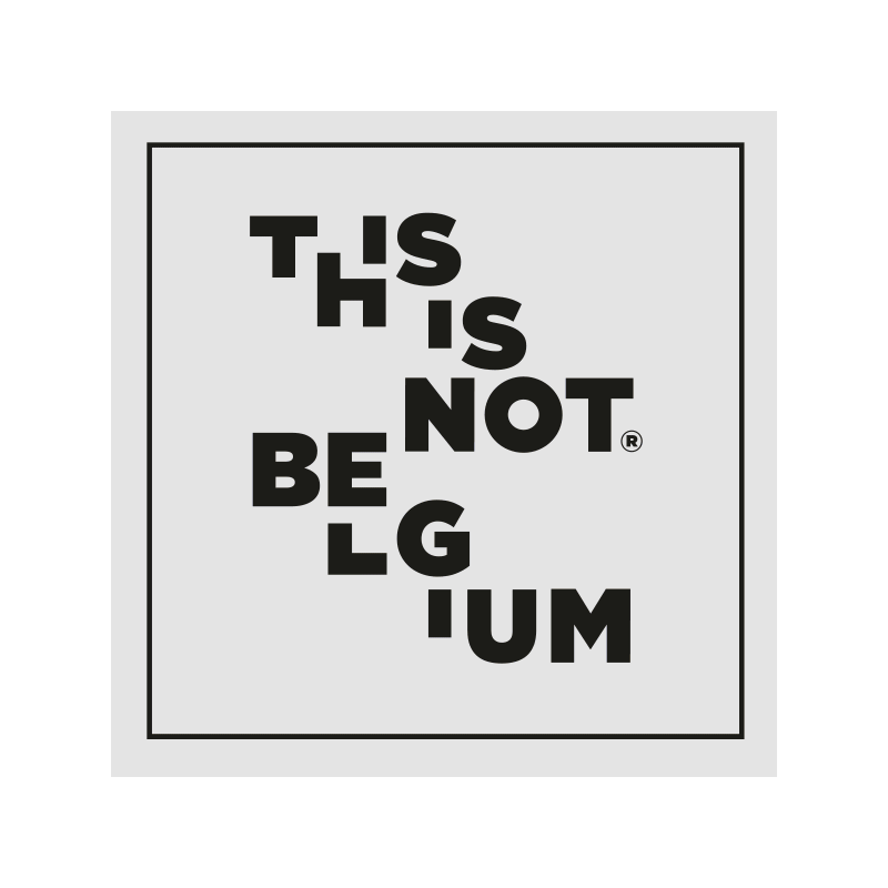 Identité visuelle animée pour TINB